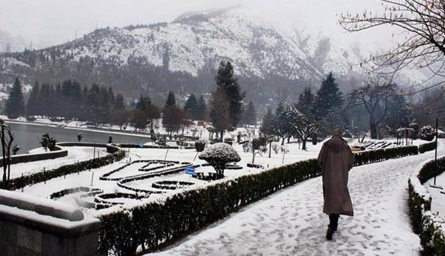 Cold wave intensifies in Kashmir Valley,Srinagar records minus 6.4 degrees Celsius
