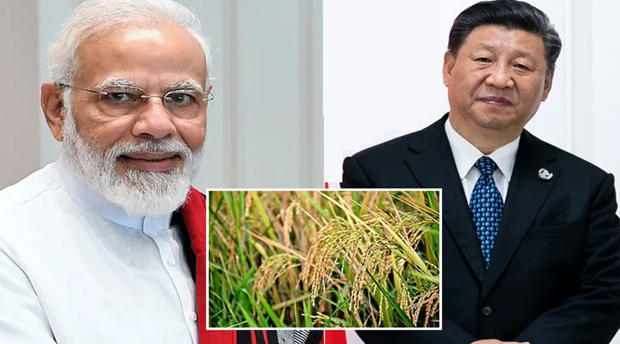 Why is China importing rice from India for the first time in decades?