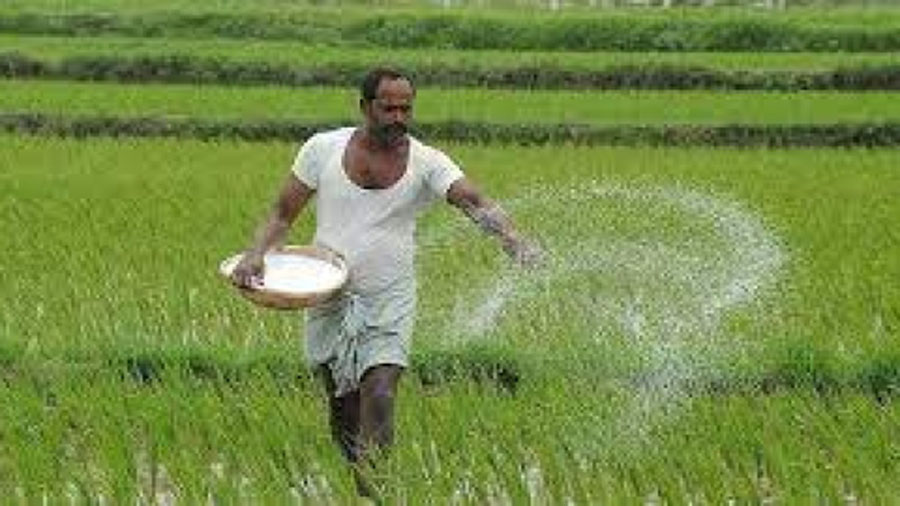 Govt raises subsidy on DAP fertiliser by 140% to Rs 1,200 per bag
