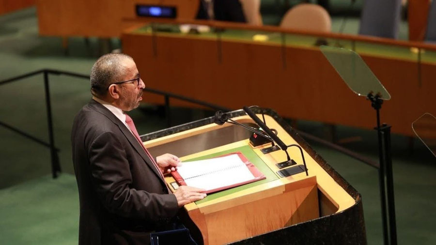 UAE deputy minister thanks security council members for sending Emirates into UNSC