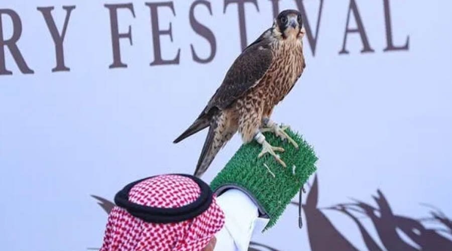 With prizes of 25 million riyals the King Abdulaziz Falconry Festival kicks off in Saudi Arabia