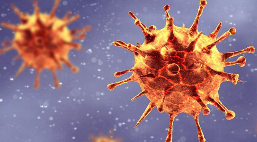 New virus could be more deadly than corona : Experts