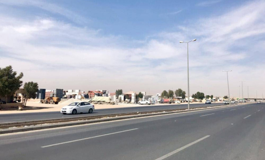 Saudi Arabia: A lioness attacks and kills a worker in Qassim park