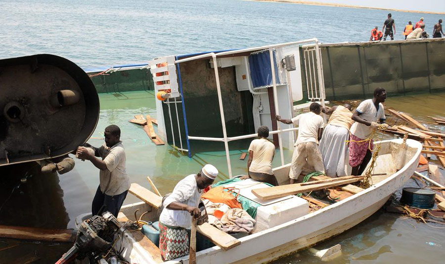 More than 15,000 sheep drown after live export ship sinks in Sudan