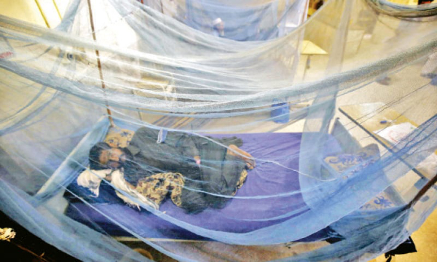 Dengue fever cases continue to surge in Pakistan