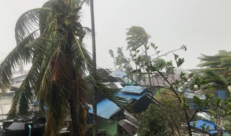At least 900 houses destroyed, 420 coconut trees broken in Bangladesh rampage