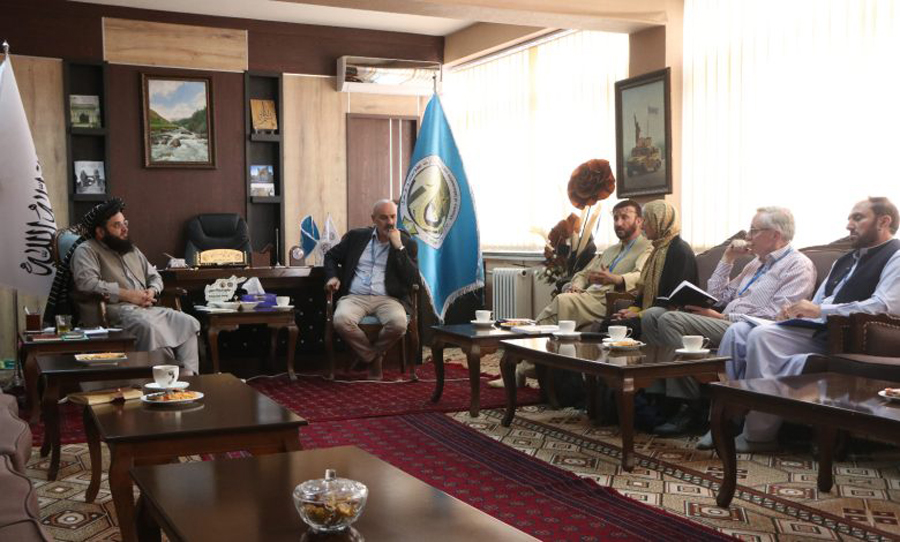Afghan Deputy Minister Meets UNESCO Director